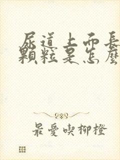 尿道上面长有小颗粒是怎么回事