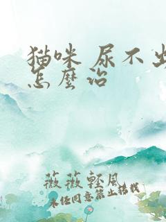 猫咪 尿不出尿怎么治