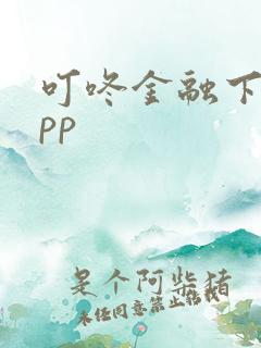 叮咚金融下载app