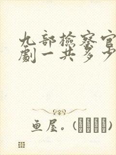 九部检察官电视剧一共多少集