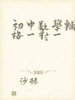 初中数学辅导价格一对一