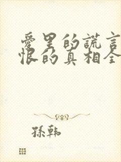 爱里的谎言,仇恨的真相全集