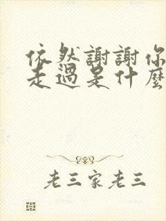 依然谢谢你陪我走过是什么歌