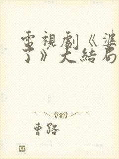 电视剧《婆婆来了》大结局