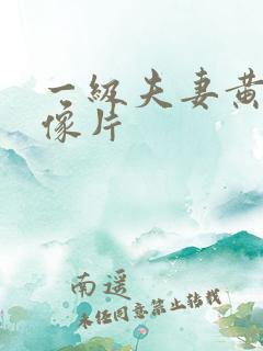 一级夫妻黄色录像片