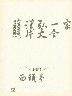 薛滨弘一家三口照片大全