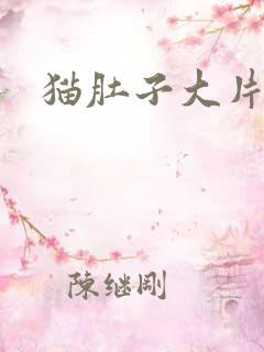 猫肚子大片掉毛