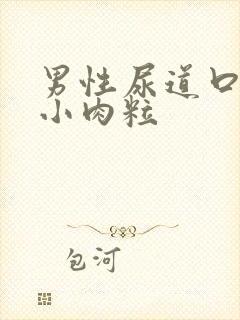 男性尿道口上的小肉粒