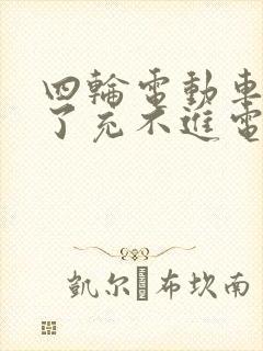 四轮电动车放久了充不进电怎么回事