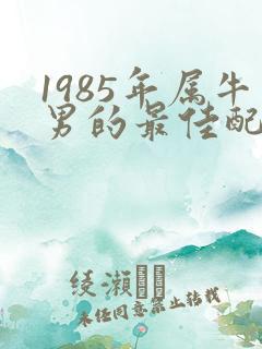 1985年属牛男的最佳配偶
