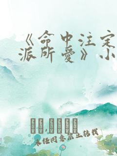 《命中注定被反派所爱》小说