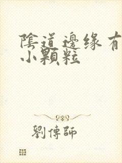 阴道边缘有很多小颗粒