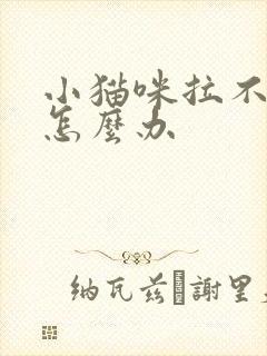 小猫咪拉不出尿怎么办