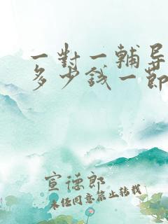 一对一辅导数学多少钱一节课