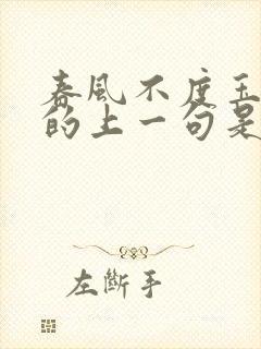 春风不度玉门关的上一句是什