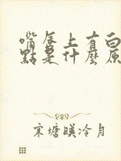 嘴唇上有白色点点是什么原因