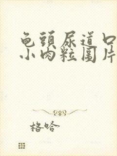 龟头尿道口长了小肉粒图片