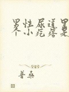 男性尿道里面有个小疙瘩是怎么回事