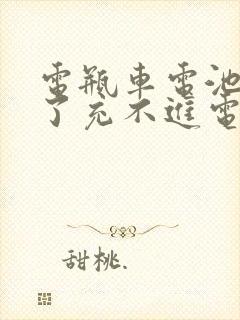 电瓶车电池放久了充不进电怎么办