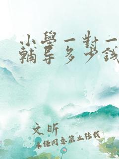 小学一对一上门辅导多少钱一小时