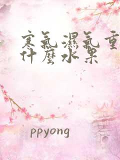 寒气湿气重能吃什么水果