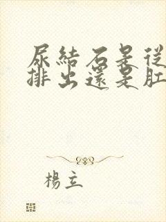 尿结石是从尿道排出还是肛门排出