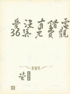 爱没有错电视剧36集免费观看