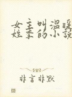女主叫温暖男主姓季的小说