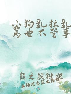 小狗乱拉乱尿打骂也不管事儿怎么办