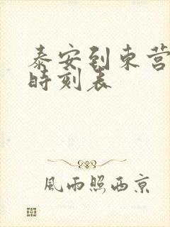 泰安到东营客车时刻表