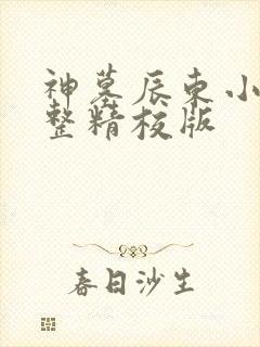神墓辰东小说完整精校版
