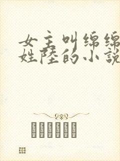 女主叫绵绵男主姓陆的小说