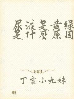 尿液是黄绿色的是什么原因引起的