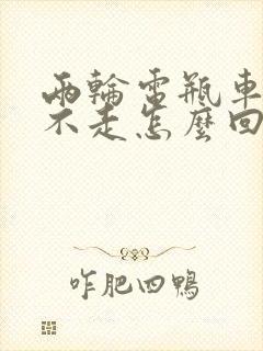 两轮电瓶车有电不走怎么回事