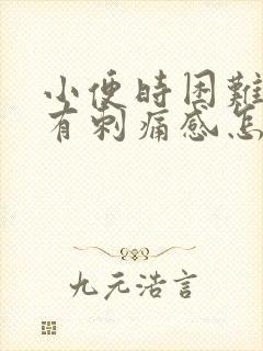 小便时困难尿痛有刺痛感怎么回事