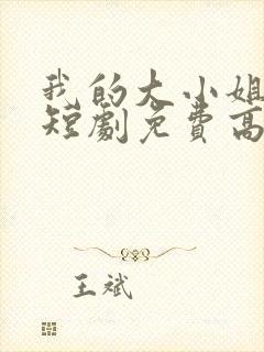 我的大小姐老婆短剧免费高清完整版