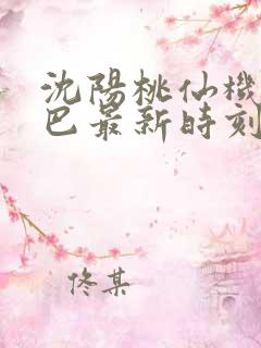 沈阳桃仙机场大巴最新时刻表