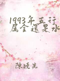 1993年五行属金还是水