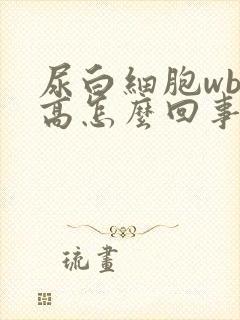 尿白细胞wbc高怎么回事