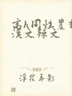 高h同性农村壮汉文辣文