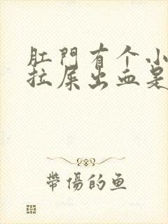 肛门有个小肉球拉屎出血是怎么回事