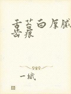 舌苔白厚腻 有齿痕