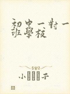 初中一对一补习班学校