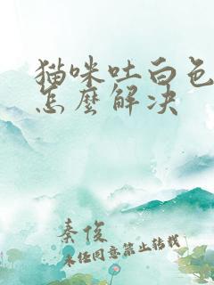 猫咪吐白色泡沫怎么解决