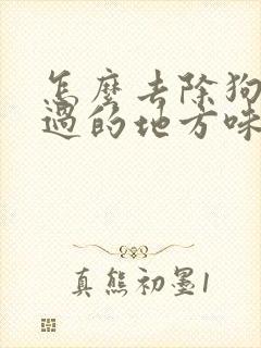 怎么去除狗狗尿过的地方味道