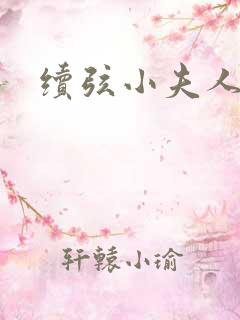 续弦小夫人全文