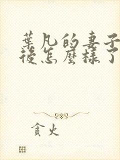 叶凡的妻子们最后怎么样了