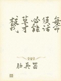 校草必须每天吸我才能活命[穿书]