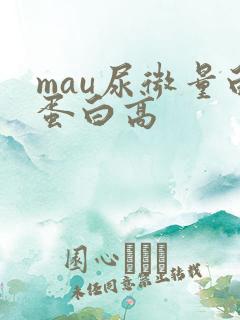 mau尿微量白蛋白高