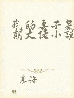 我的妻子是大乘期大佬小说免费阅读无弹窗